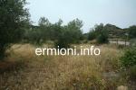 GL 0198 - Coastal Land - Dardiza - Ermioni